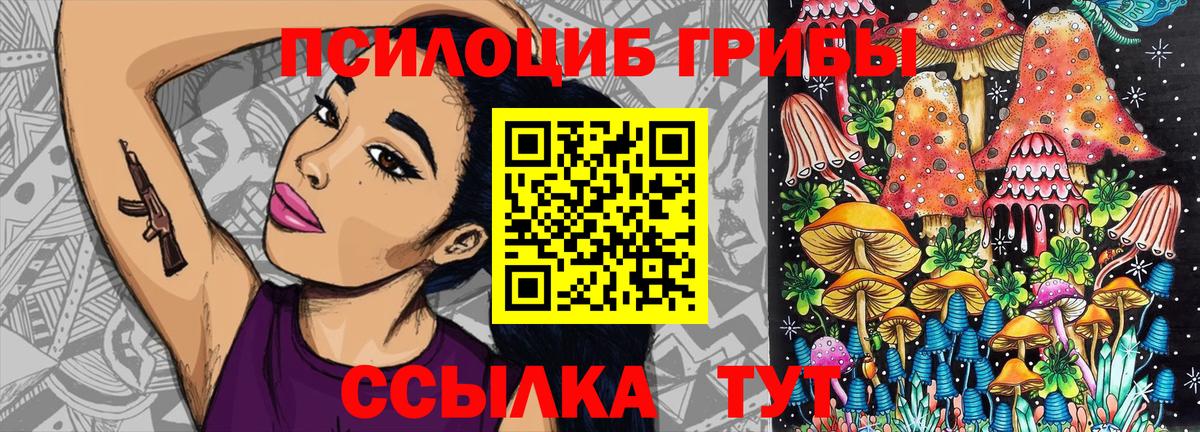 Асино  Псилоцибиновые грибы прущие грибы  Вход с VPN 